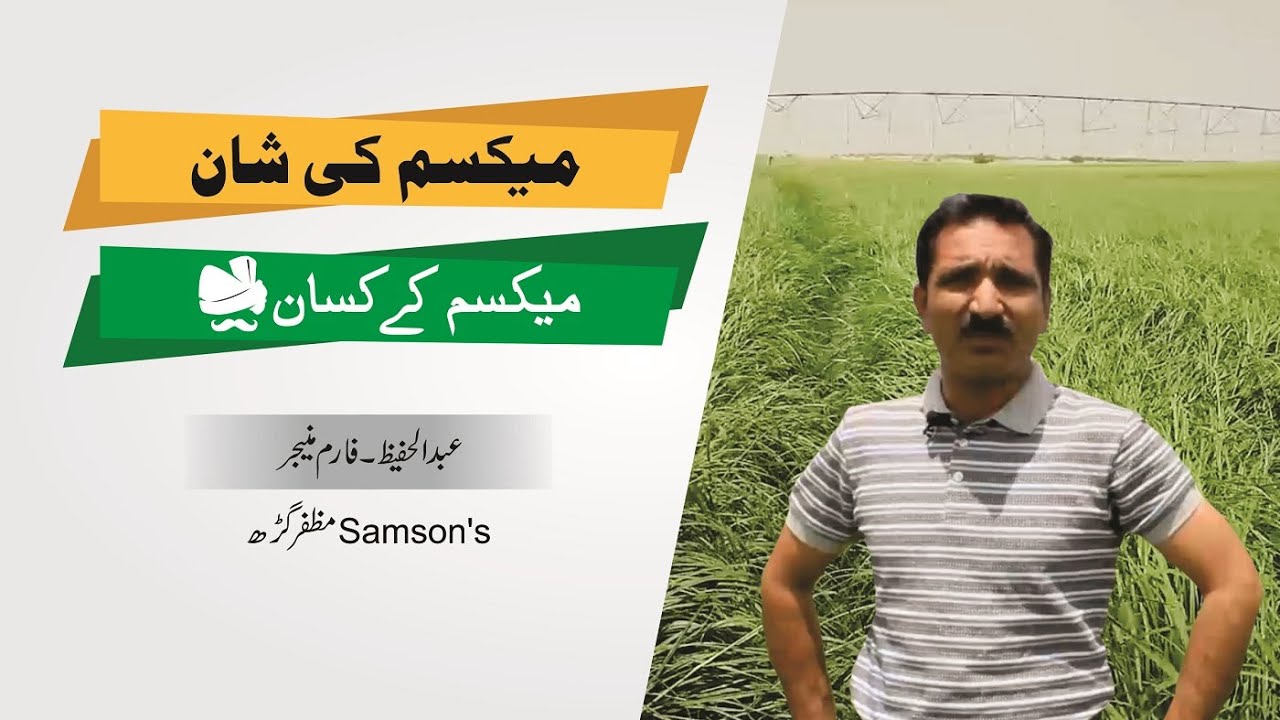 1000 acres Rhodes Grass Farm: Samsons Farm