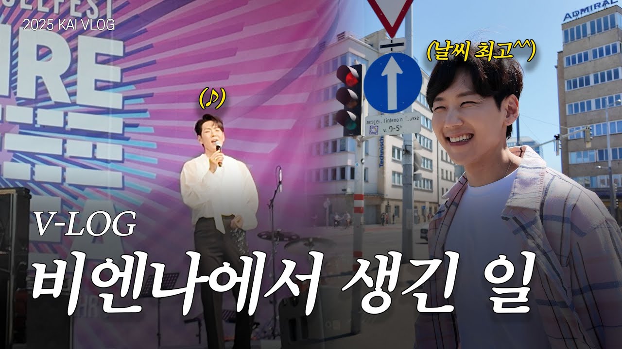 [V-Log] 비엔나에 공연하러 갔다가 힐링하고 왔습니다 (feat. 도나우인젤페스트)