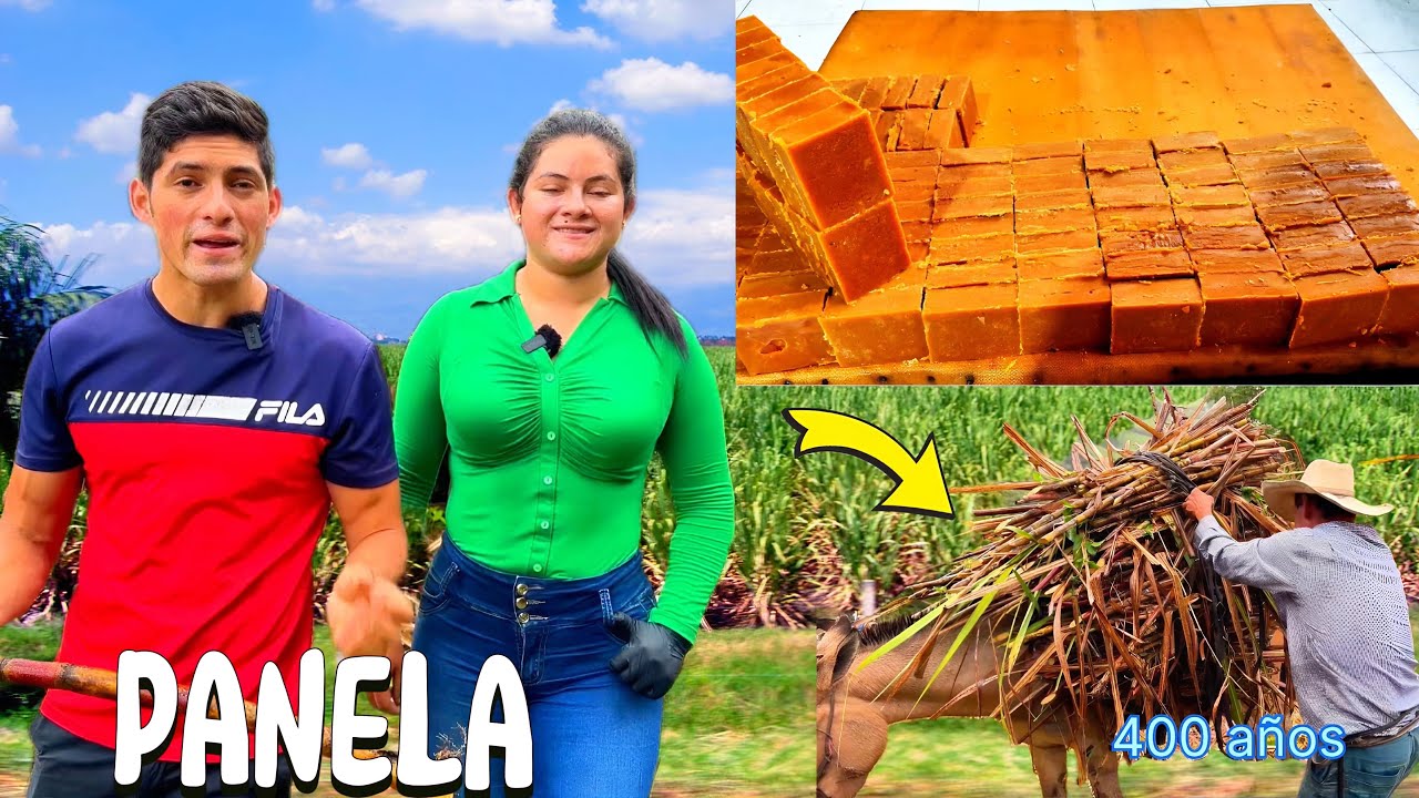 Así es como se fabrican millones de panelas en Colombia 🇨🇴😱