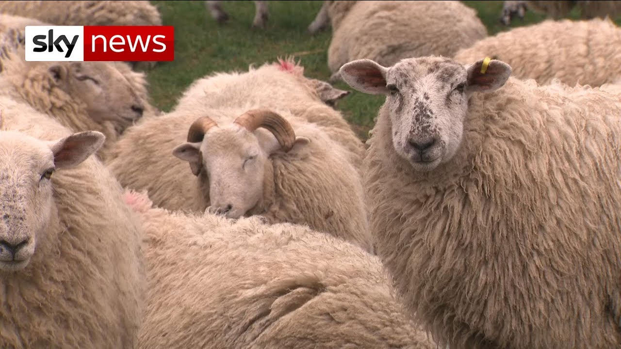 Former farming minister: Farmers shouldn't be worried about no-deal