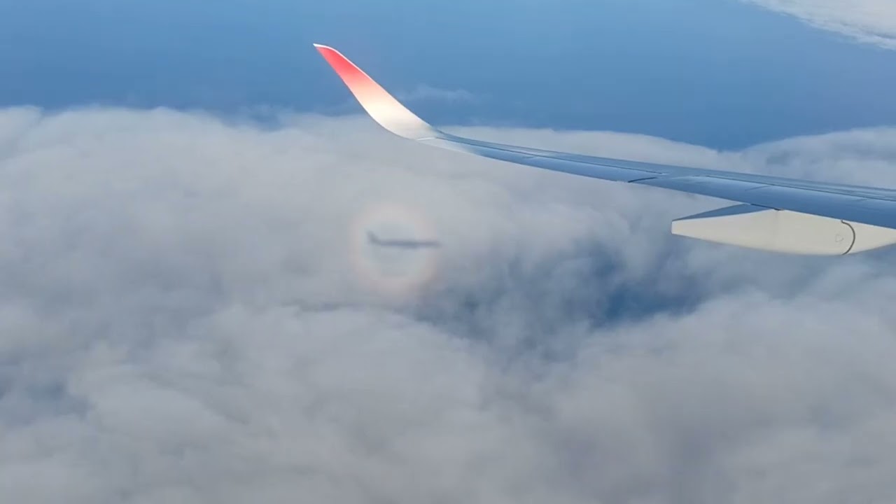 JAL919 那覇空港RWY18Rへ降下着陸　20250513