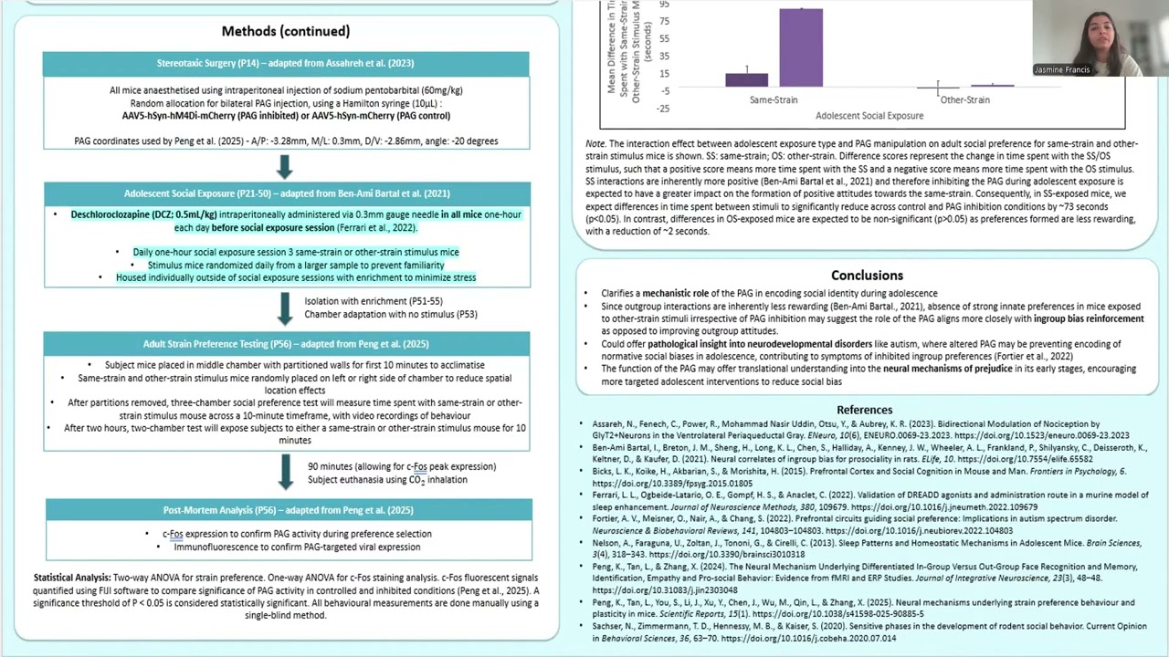 The effect of periaqueductal grey activity on acquisition of strain preference in adolescence