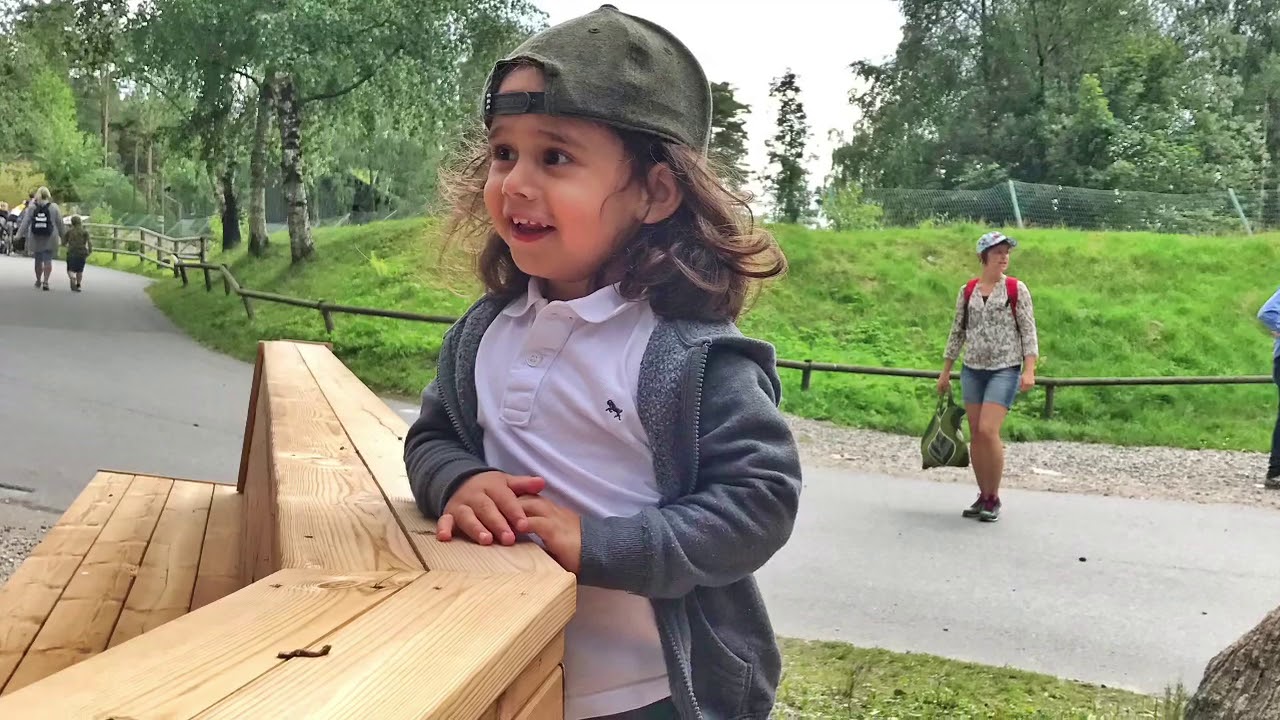 Bor&aring;s Djurpark - Zool&oacute;gico na Su&eacute;cia!