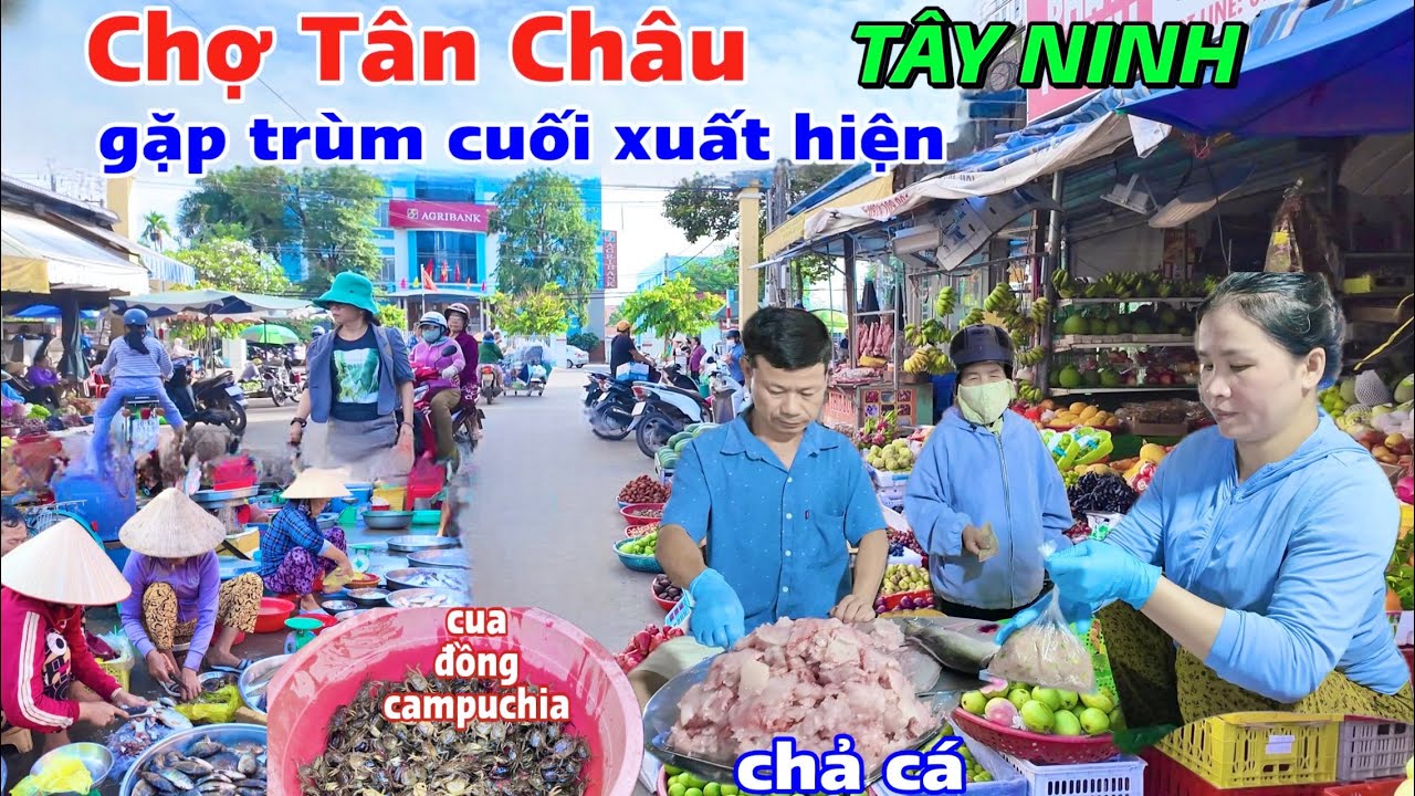 Chợ Tân Châu Tây Ninh Bà Con Bên Trong Nhà Lồng Bán Thịt Cá ế Ẩm, Gặp Trùm Cuối Xuất Hiện Quá Đỉnh