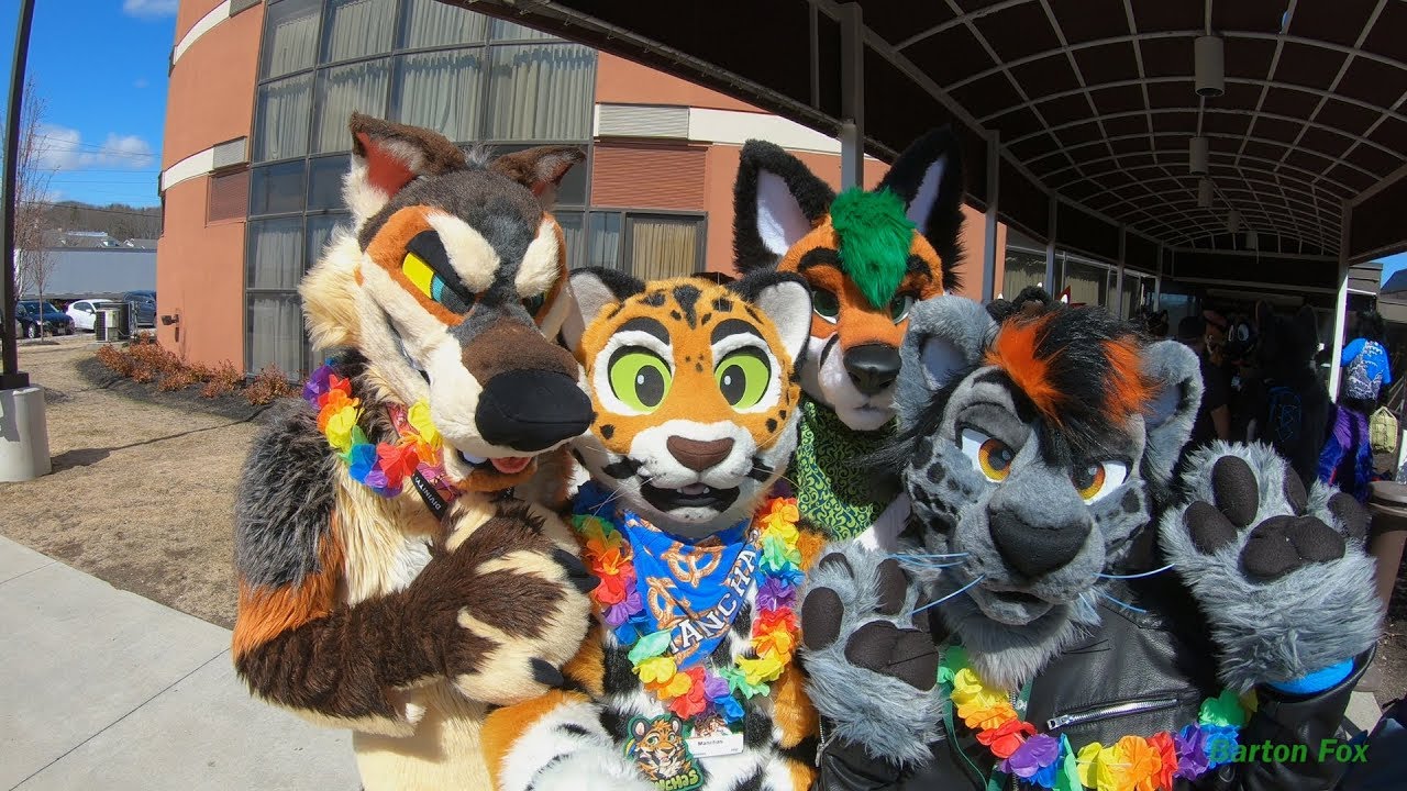 Pine Fur Con 2019 - Random Clips