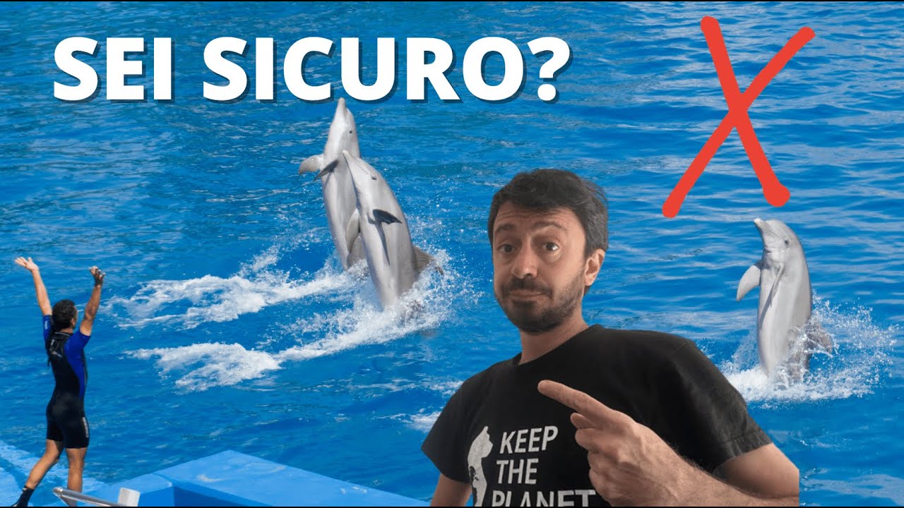 MAMMA😱!! VOGLIO DIVENTARE ADDESTRATORE DI DELFINI 🐬