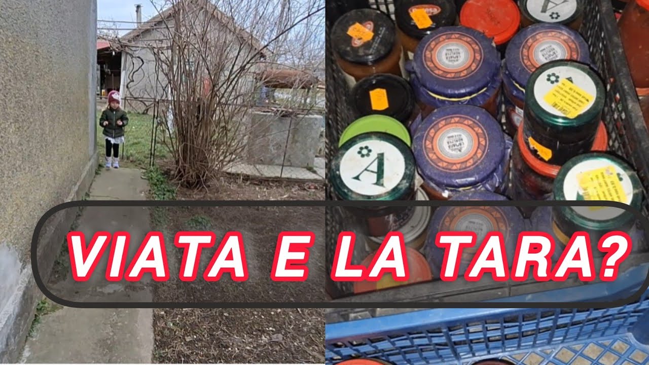 Sa ne luam casa la tara? Februarie 2026