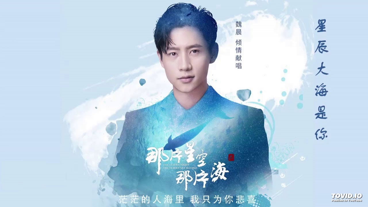 魏晨 - 星辰大海是你 【电视剧《那片星空那片海2》片头曲】