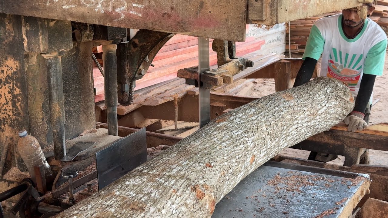 From Tree to Wood 5x10 Sawmill Machine in Action