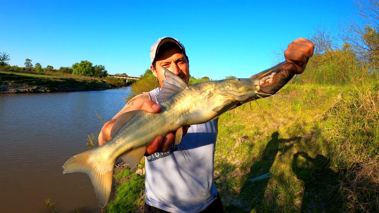 Terrible Pesca de Moncholos en hermoso Arroyo, Pescando bagres de orilla, Pesca de Barrio 2021