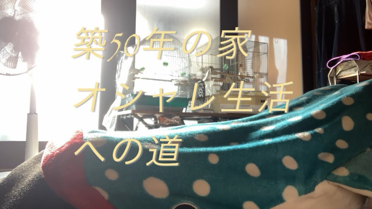 キッチン扉改善
