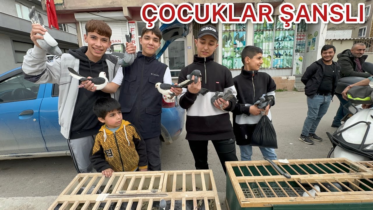 BAKIN NE EMEK VERİYORUZ GENÇLERİMİZ YANLIŞ İŞLER KOVALAMASIN DİYE KUŞÇULUĞU AŞILIYORUZ