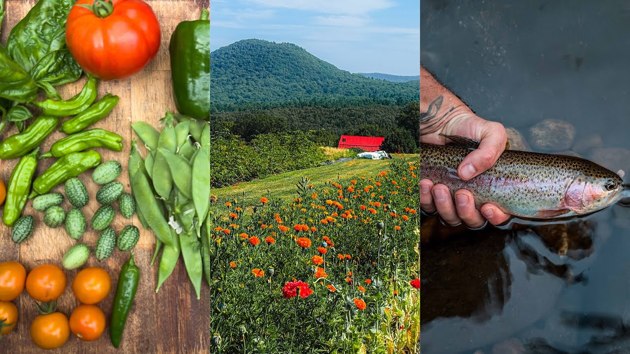 A Simple & Sustainable Life Connected to the Earth