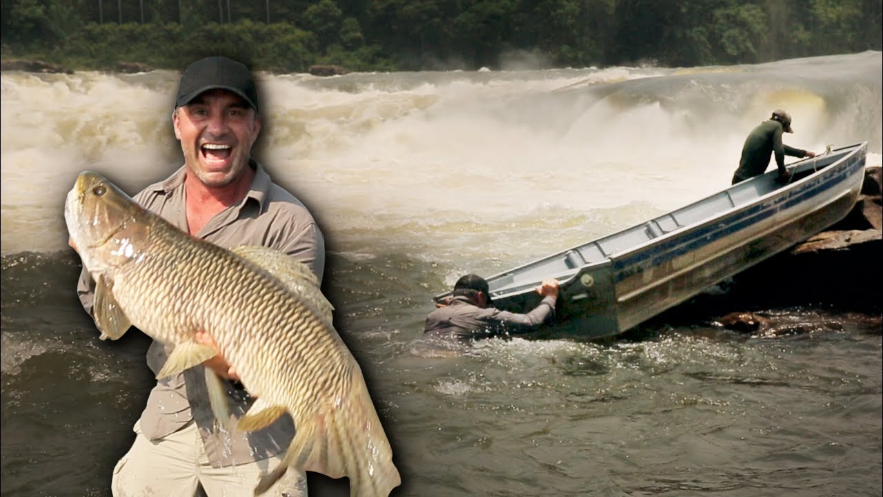Huge Amazon Predators - Chasing Monsters