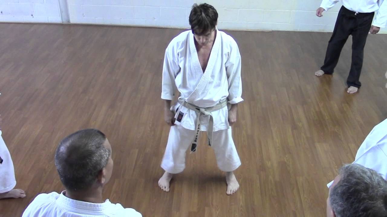 rick hotton sensei - Toronto Canada seminar 1