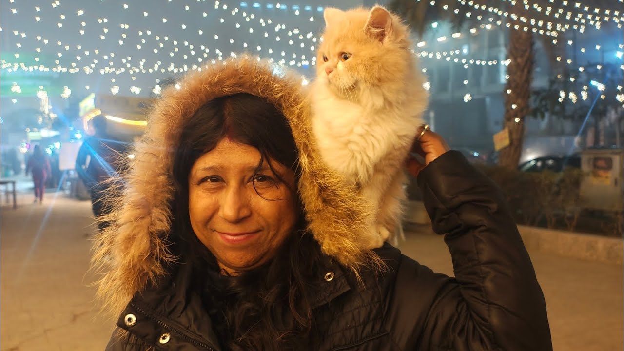 Chio ko lagta hai billi se dar 😂😂