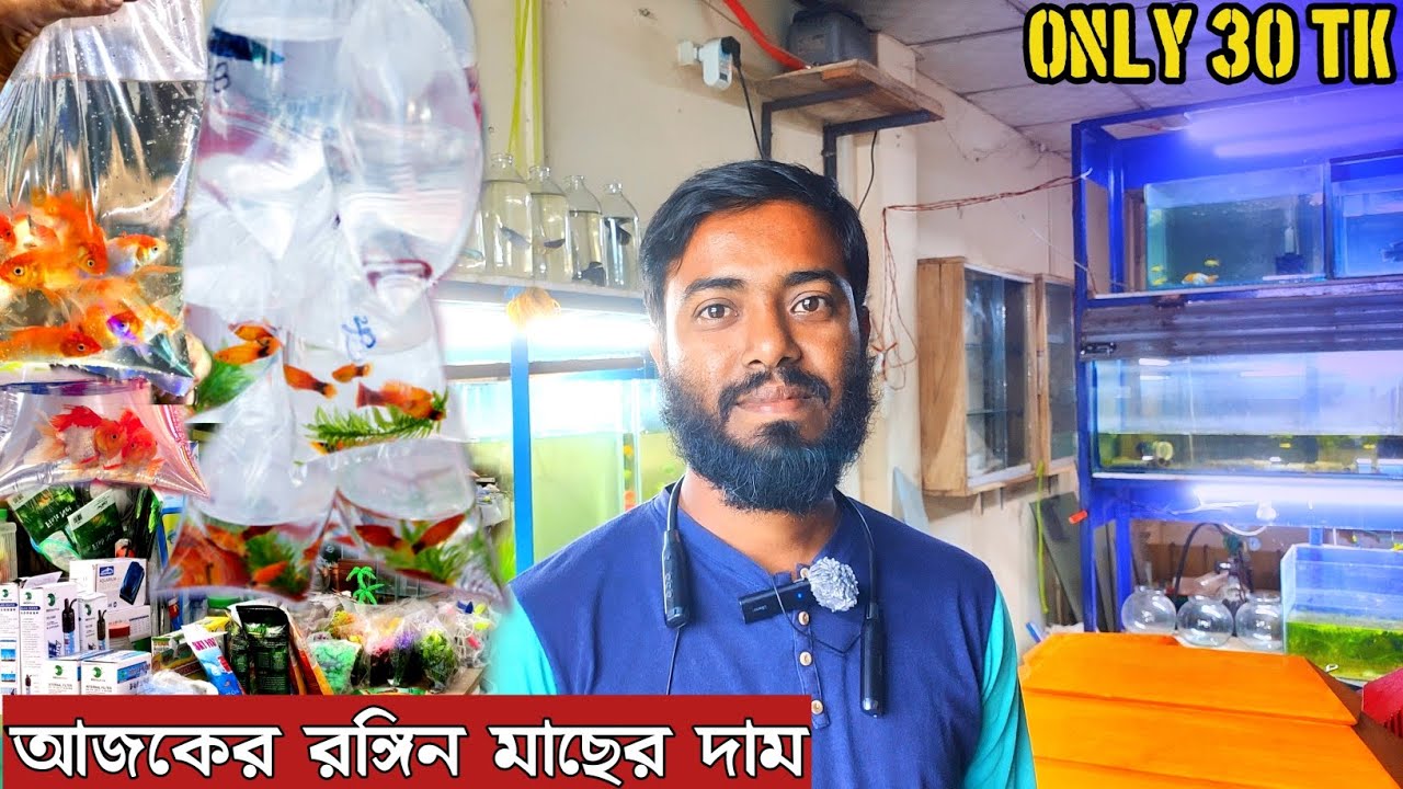 Aquarium Fish Price In Bangladesh 2026🐠Aquarium Fish Price | Aquarium | Aquarium Fish Price In BD🐠