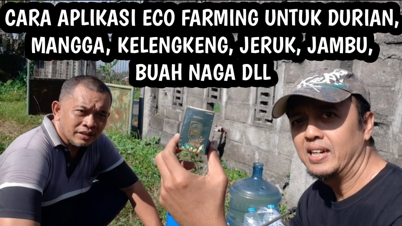 CARA APLIKASI ECO FARMING UNTUK DURIAN, MANGGA, KELENGKENG, JERUK, JAMBU, BUAH NAGA, DAN LAIN-LAIN