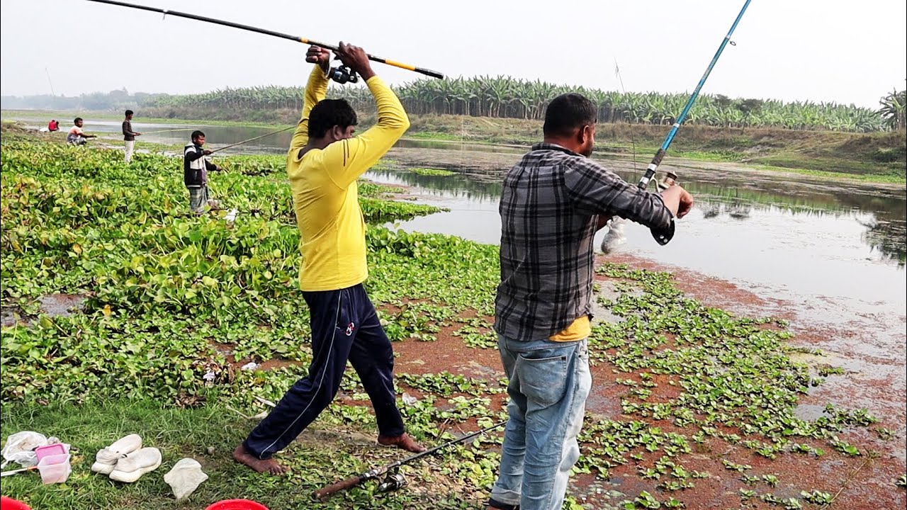 পাবনা ক্যানেলে রুই মাছ ধরা | Pabna Canal Fishing