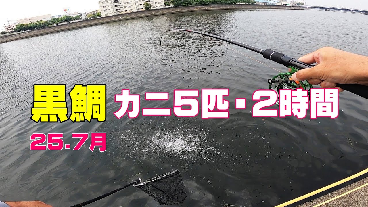 黒鯛の釣り歩きカニ5匹を持って2時間。横浜エリア都市河川での黒鯛釣りヘチ釣りです。