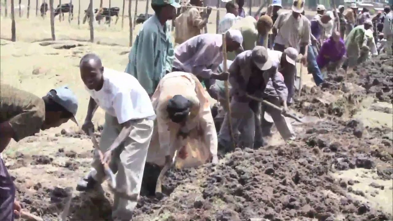 In Ethiopia, a Daily Struggle for Clean Water