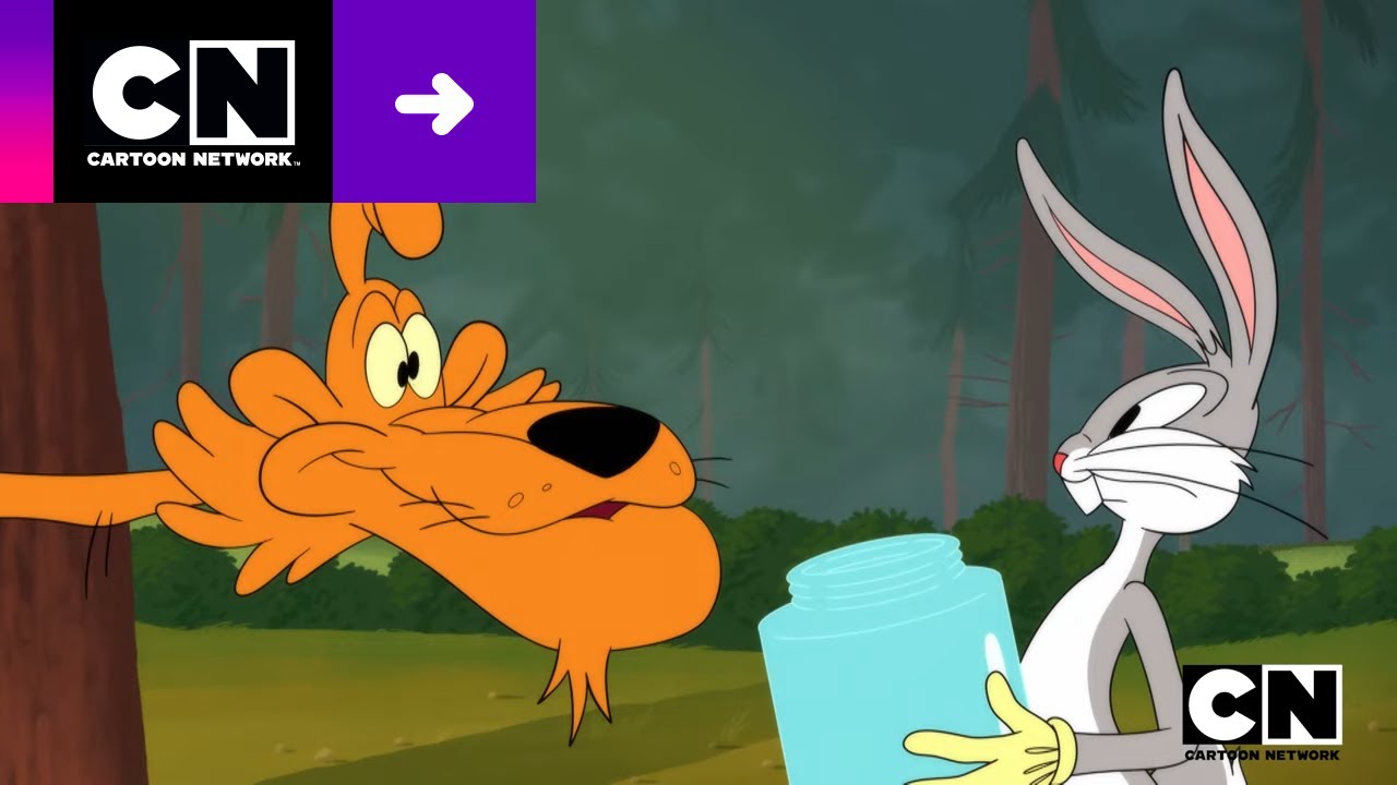 PROBLEMAS DE PUMA | LOONEY TUNES CARTOONS | CARTOON NETWORK