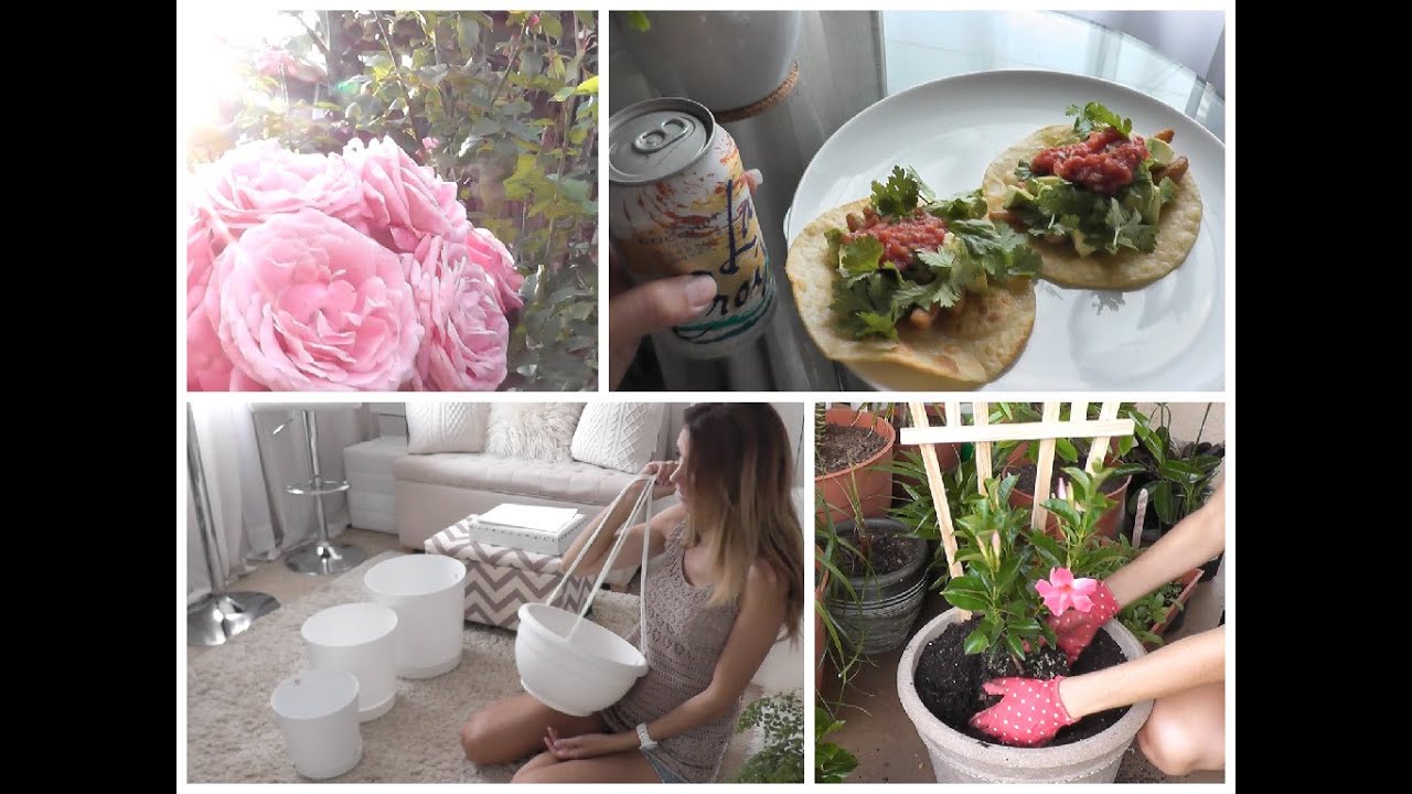 Cottage Living: In The Garden, New Pots, Planting Vines