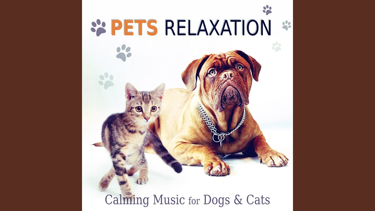Calming Music for Pets