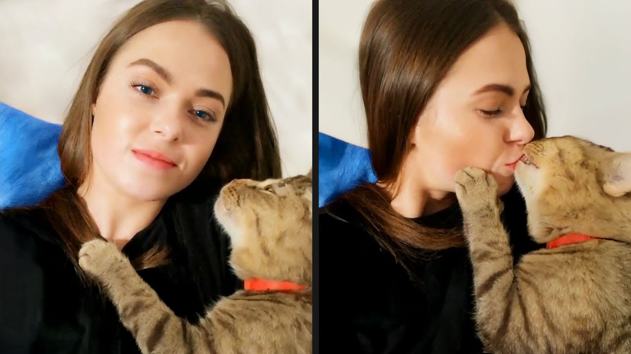 A Cat With Infinite Rizz