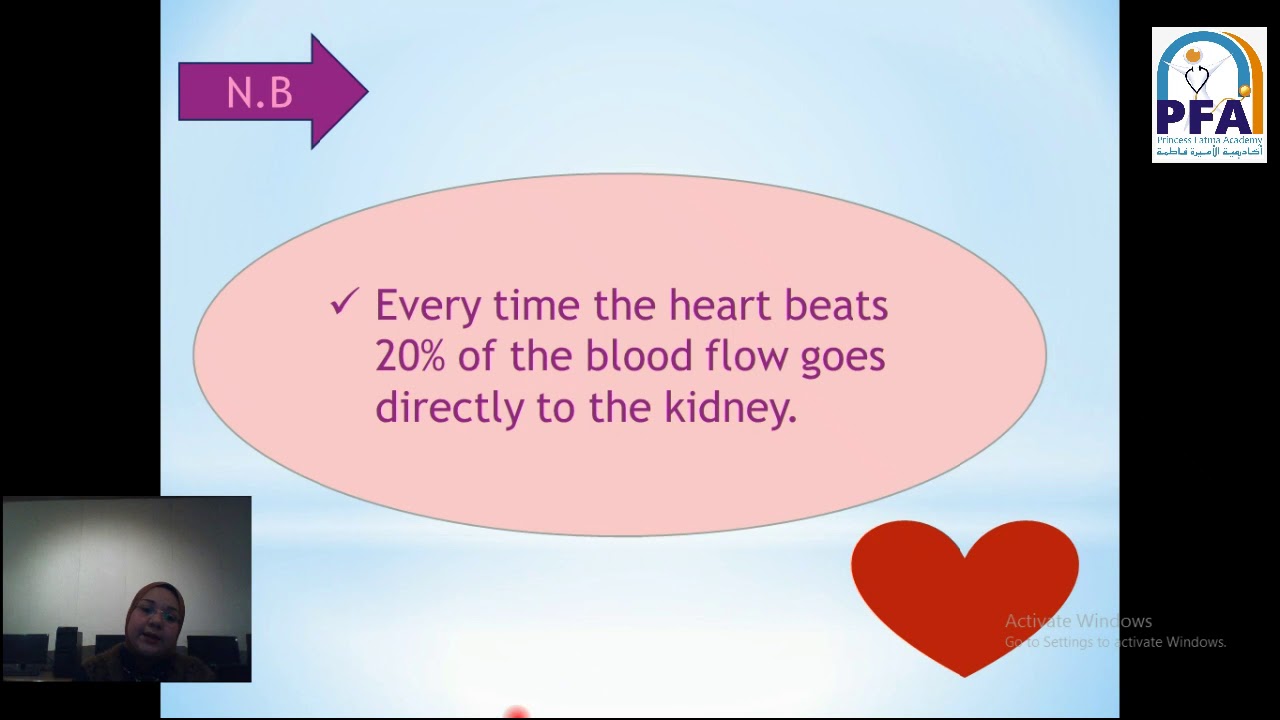 Unit 8  the kidneys الصف الثاني   مصطلحات طبية