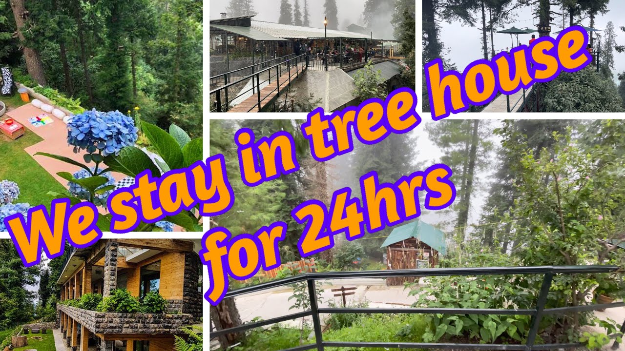 Bought tree house in Nathia Gali Staying in Tree for 24hr Delicious food with mesmerizing weather