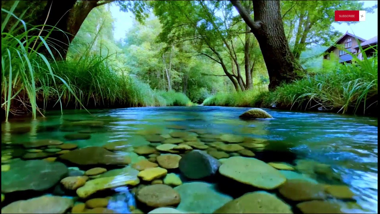 Daytime Deep Calm — Flowing River & Soft Piano | 10 Hours