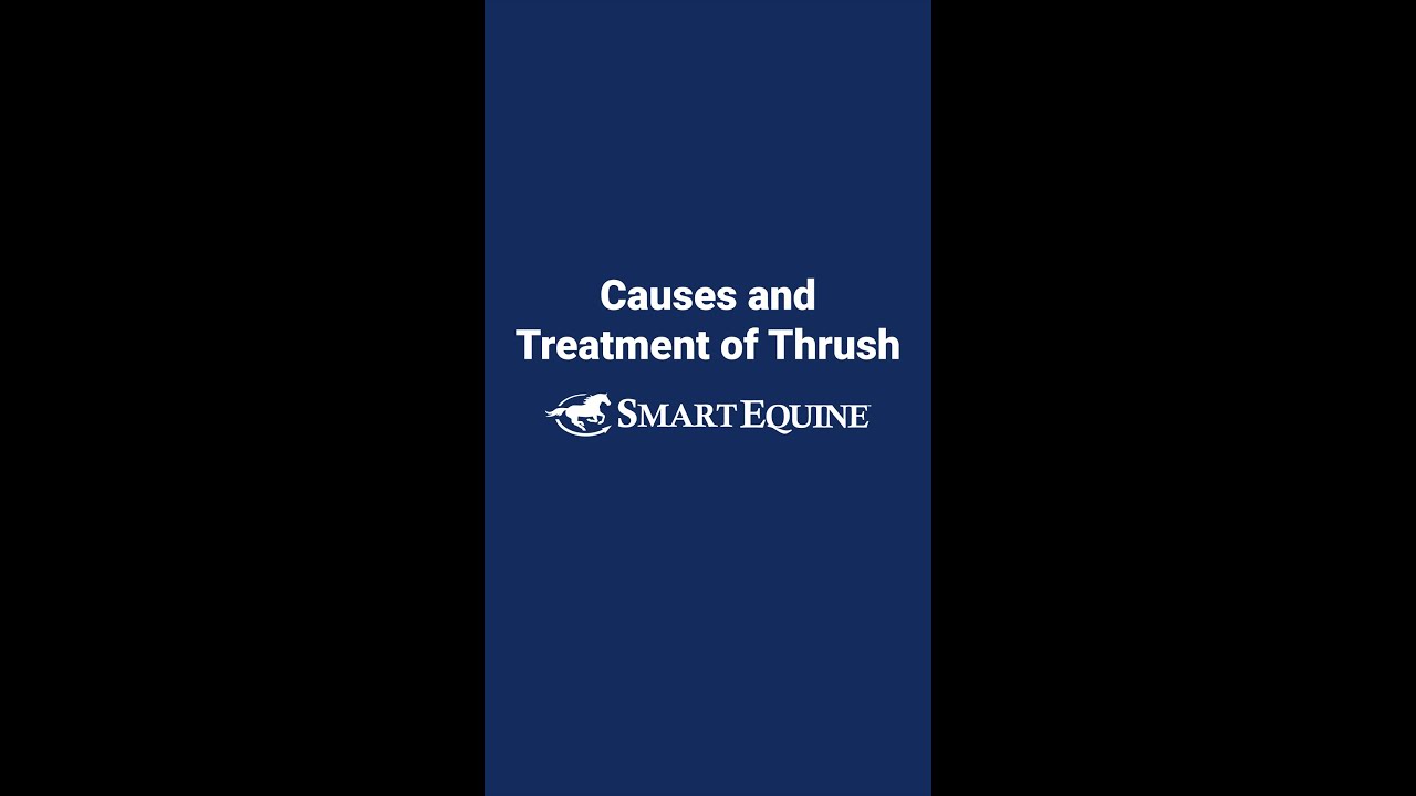Nuances of Treating Thrush in Horse Hooves
