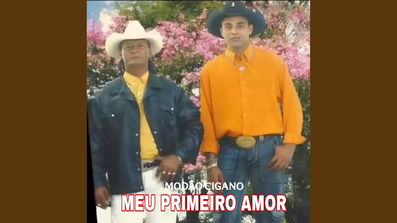 Andorinha Perdida