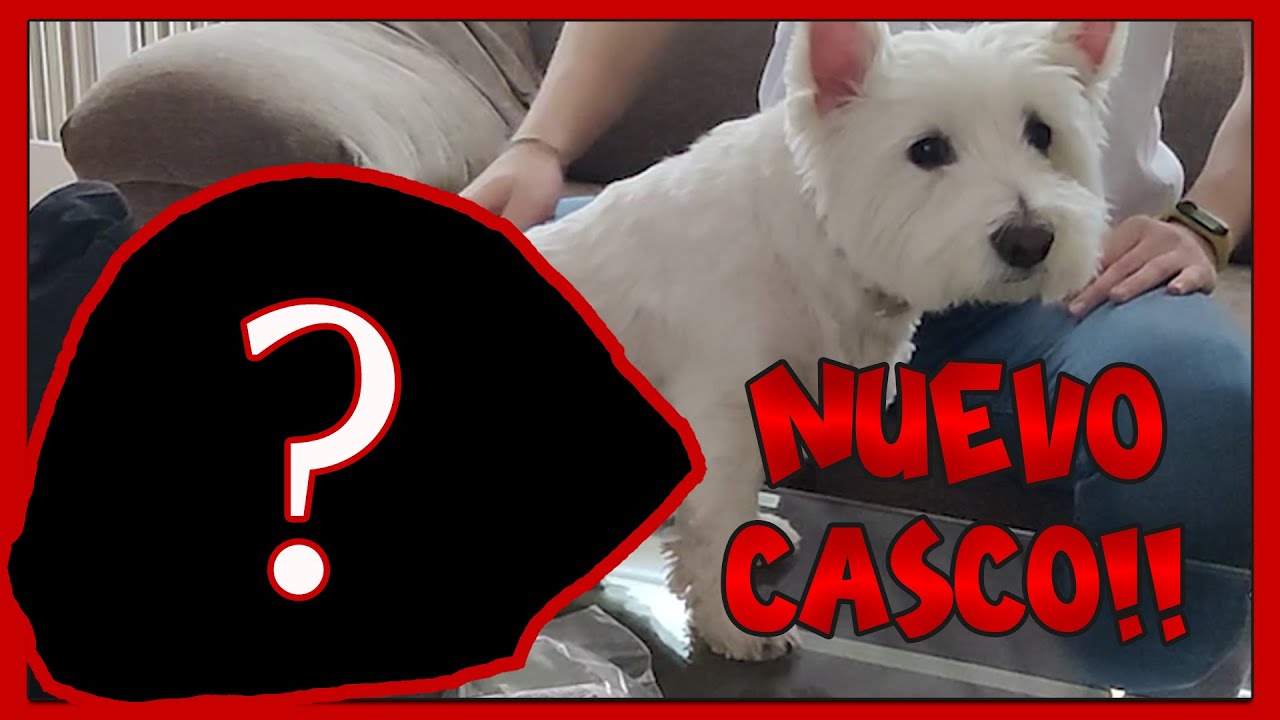 UNBOXING CASCO X-LITE X-803 RS ULTRA CARBON