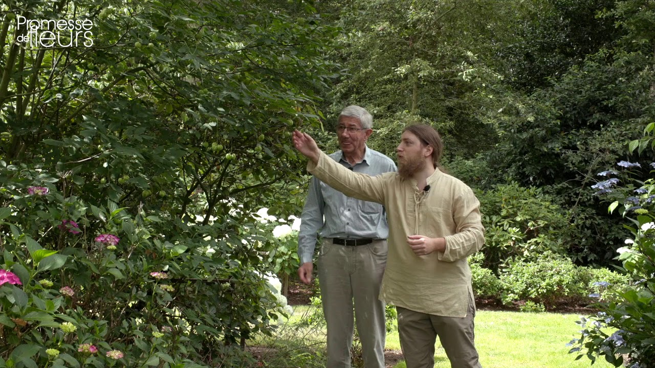 Visite du Parc de la Feuillerie : les coups de cœur de Palick