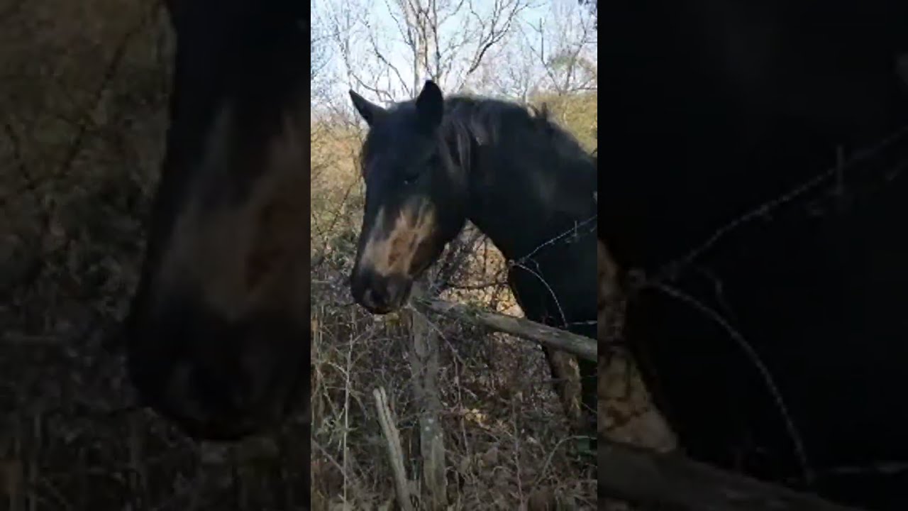 هيلو انا جيت شكون اللي يطلع معي الجبل انا خائفة هههههههه