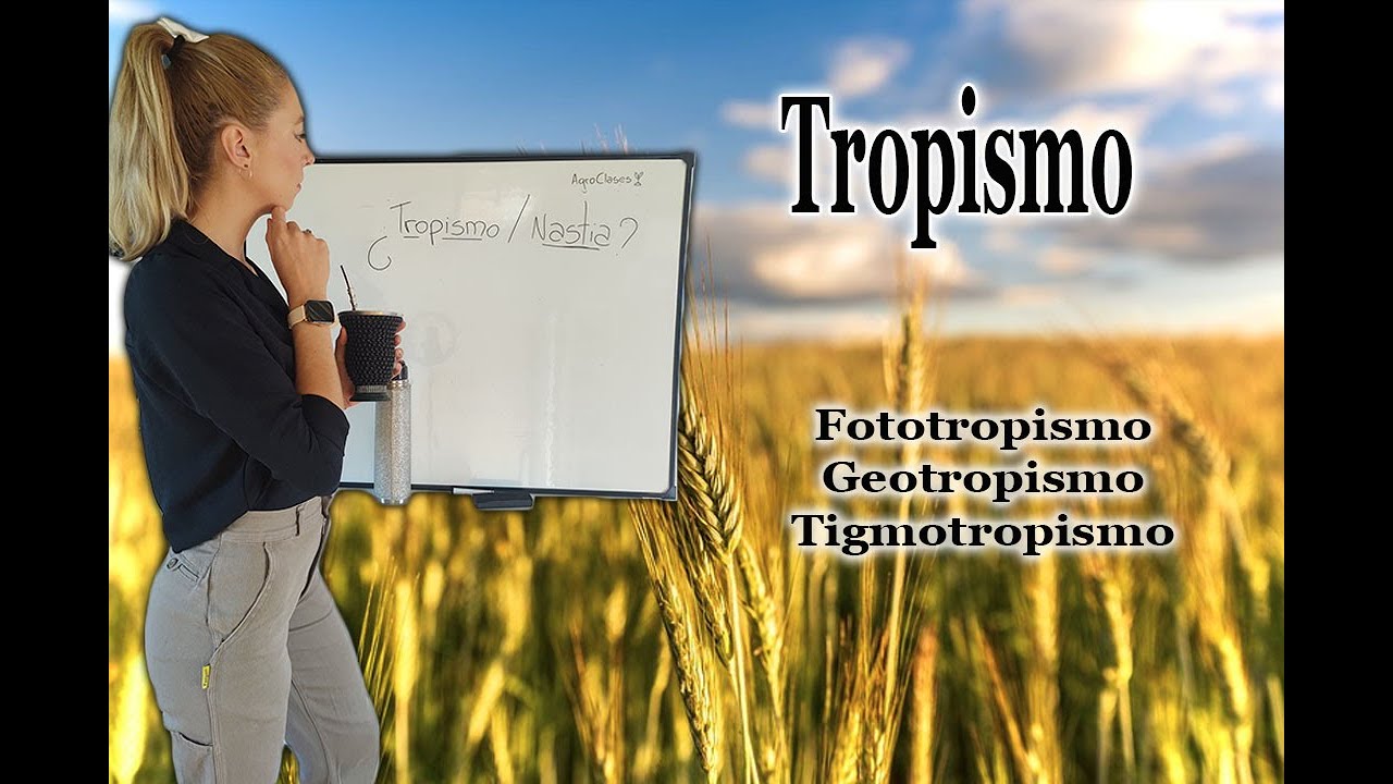 Tropismo || que es || tipos de tropismo || Nastia || que es