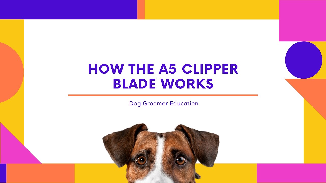 How the A5 Clipper Blade Works