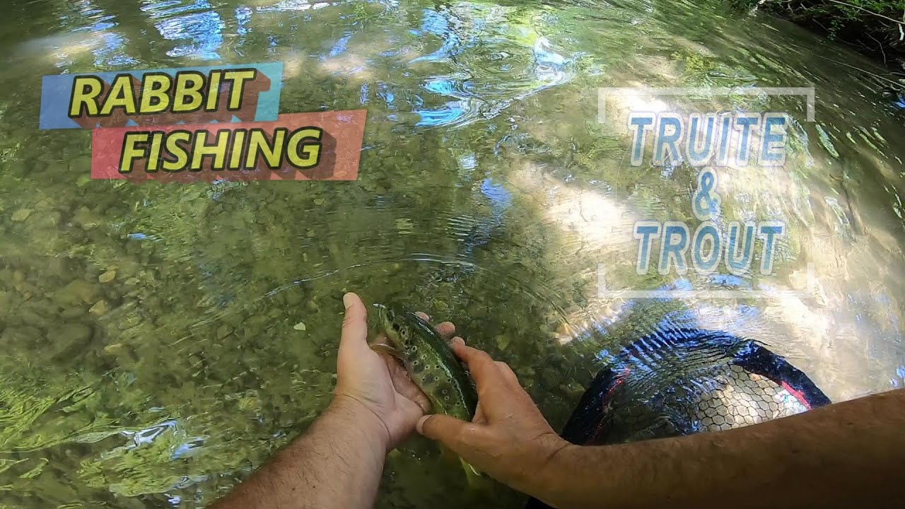 SESSION TRUITE & TROUT DE FOU