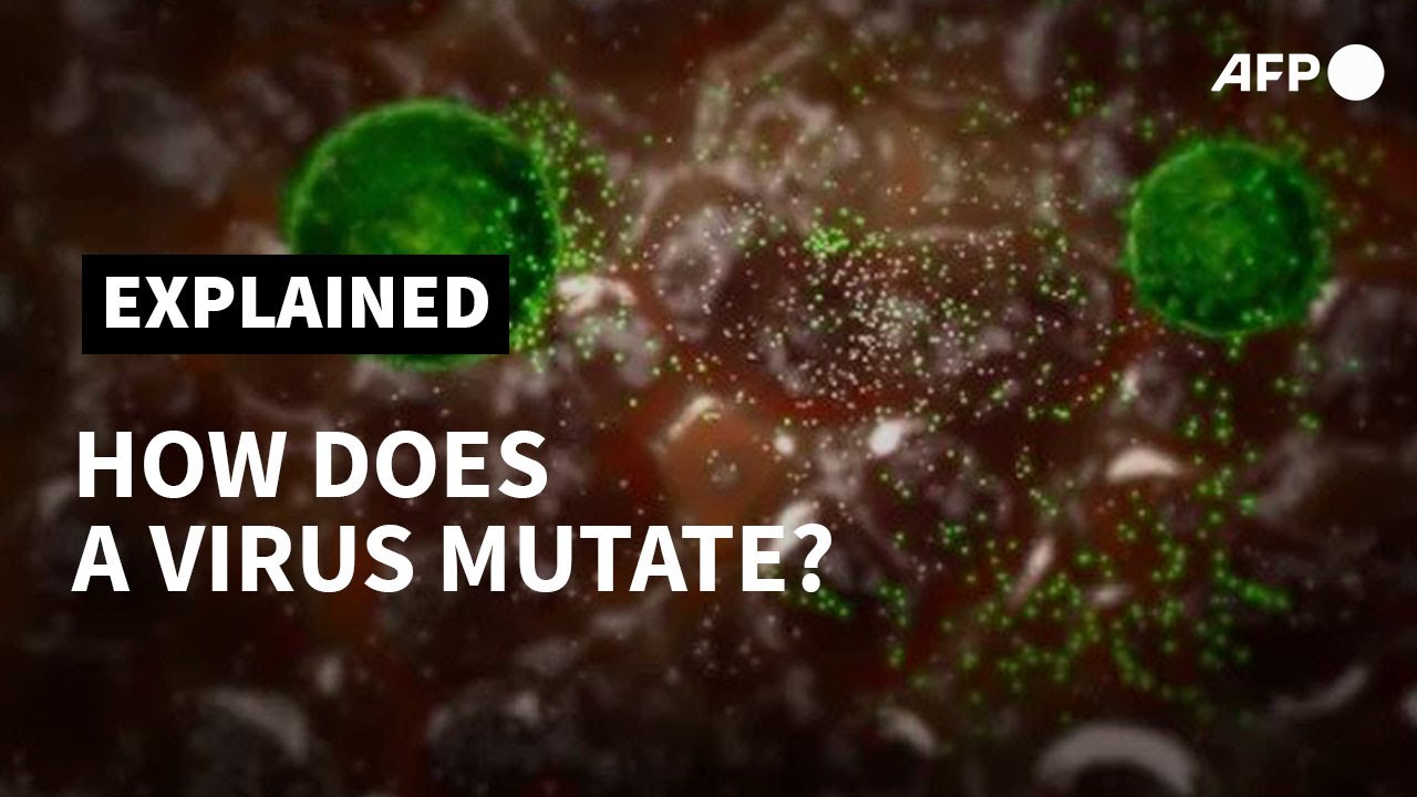 How does a virus mutate? | AFP