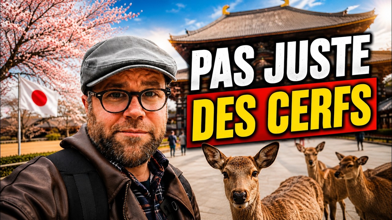 Je visite le PLUS grand bâtiment en bois du monde ! 🇯🇵