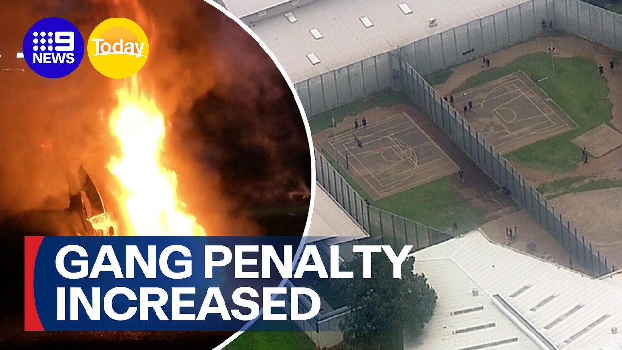 Radical new penalties for gang crimes | 9 News Australia