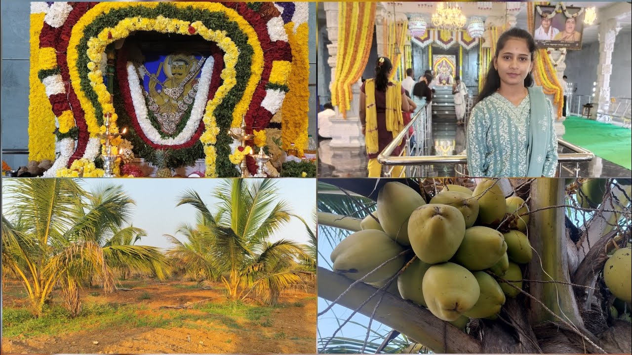 ಬೆಳ್ಳೂರ್ ಕ್ರಾಸ್ ಹತ್ತಿರ ಇರುವ ಶನಿಮಹಾತ್ಮ ದೇವಸ್ಥಾನಕ್ಕೆ  ಹೋಗಿದ್ದು 🙏🌸@ChaithraGowdaNagamangala 