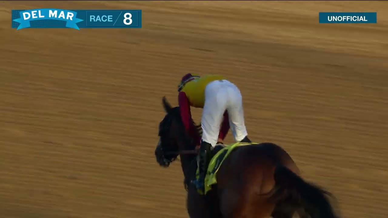 Bossy Bruin Gal wins race 8 at Del Mar 12/3/23.