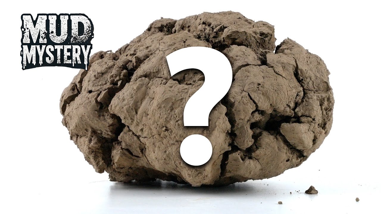 MUD MYSTERY!🔍- Guess What's Covered In The Mud!? #4