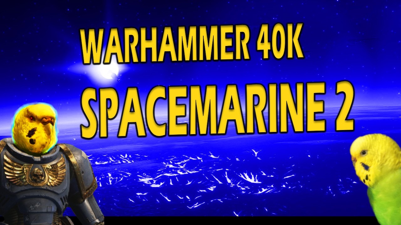 SPACEMARINE 2  MAYBE SHORT STREAM Budgie Camera 14TH FEB