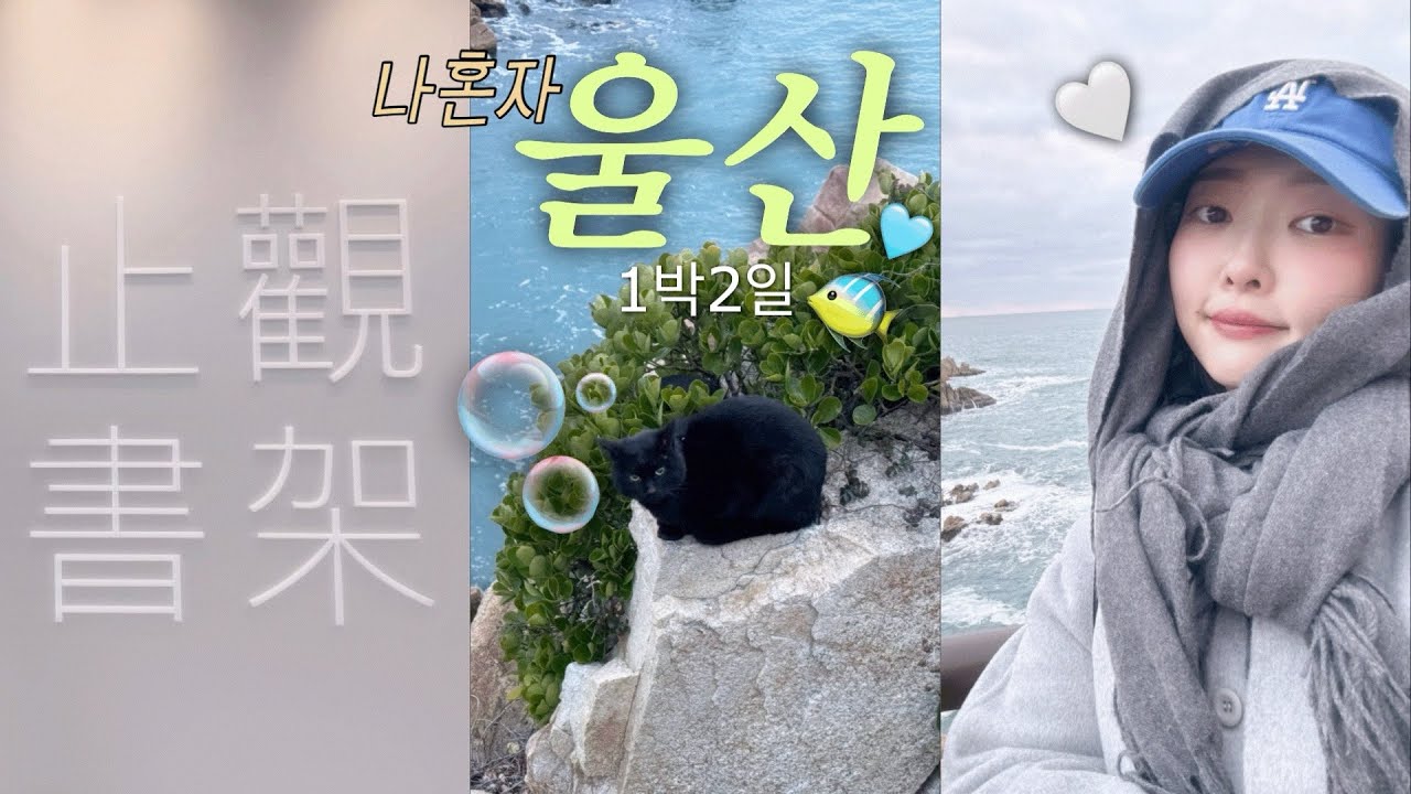 🐬☘️ 나혼자 울산여행 | 대왕암 • 고래박물관 • 쫀드기상회 • 아쿠네 • 태화강국가정원 • 박상진 호수공원 지관서가 | 맛집이랑 관광이랑 소품샵까지!