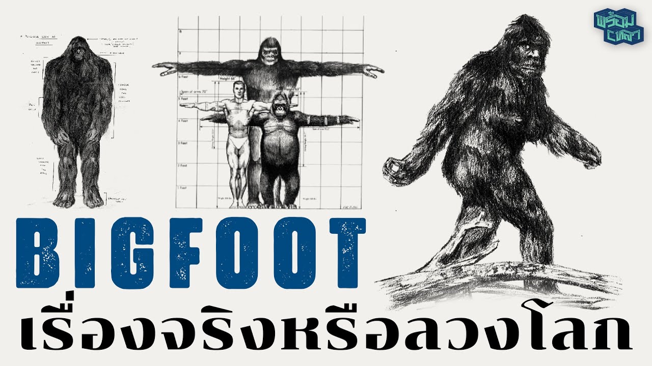 Bigfoot ตำนานมนุษย์ลิง เรื่องจริงหรือลวงโลก?