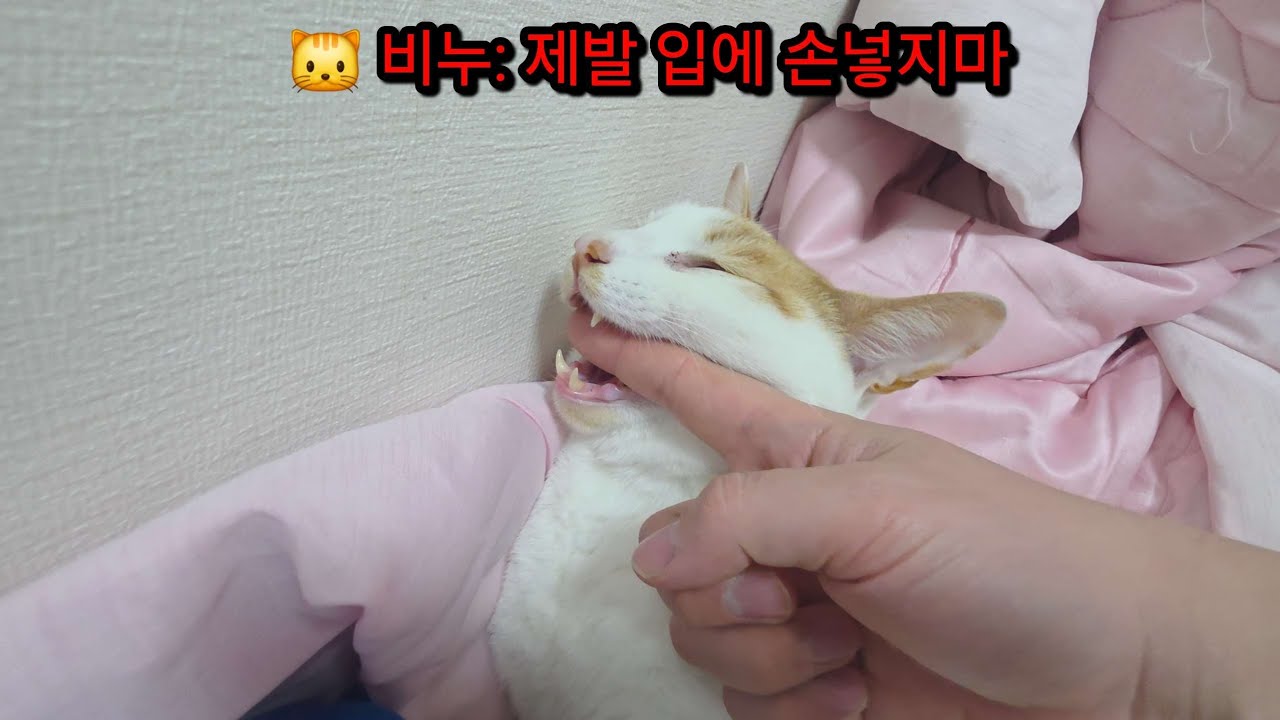 아빠는 오늘도 왕따